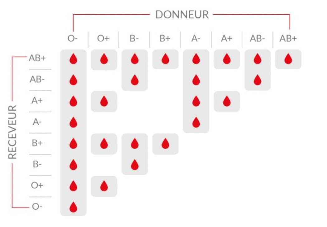Compatibilité des groupes sanguins